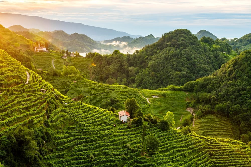 Tournée Prosecco